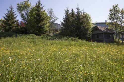 Ferienh�user Stahl
