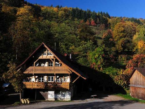 Apartamento Ferienhof M�nnle