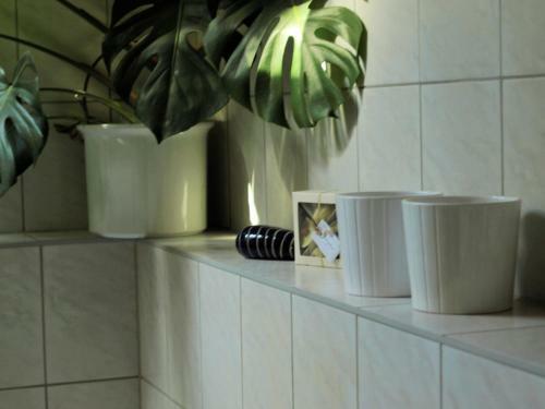 Apartamento Altes Forsthaus Garzau