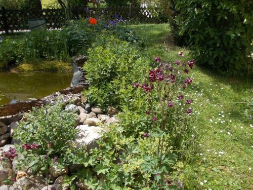 Apartamento Haus Am Wiesengrund