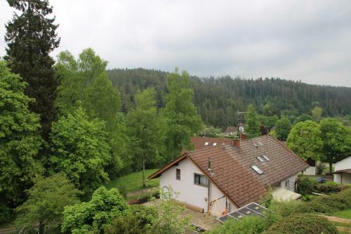 Apartamento Kuckucksnester Friedenweiler