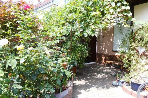 Hostal Pension Zur Schlummerstube