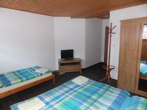 Hostal Penzion U Hajneho Bedricha
