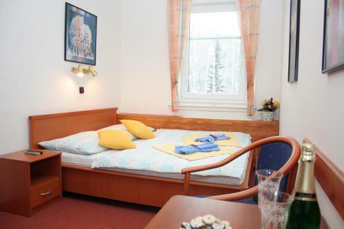 Hostal Pension Harrachov