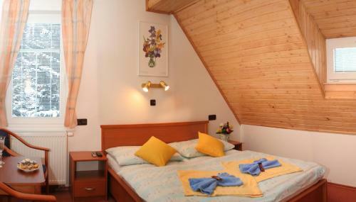 Hostal Pension Harrachov