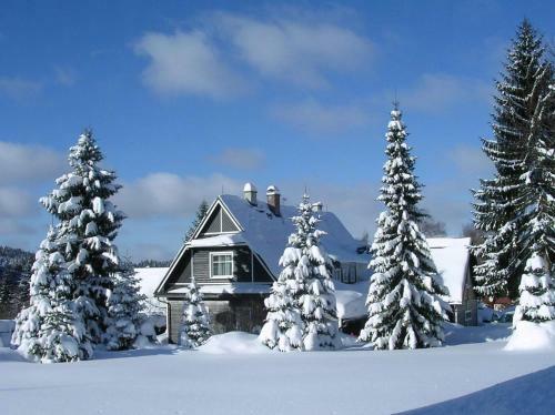 Hostal Pension Harrachov