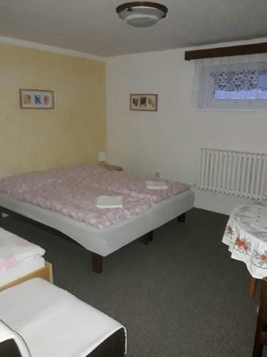 Hostal Pension Jana Harrachov