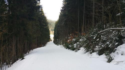 Hostal Pension Vinkl