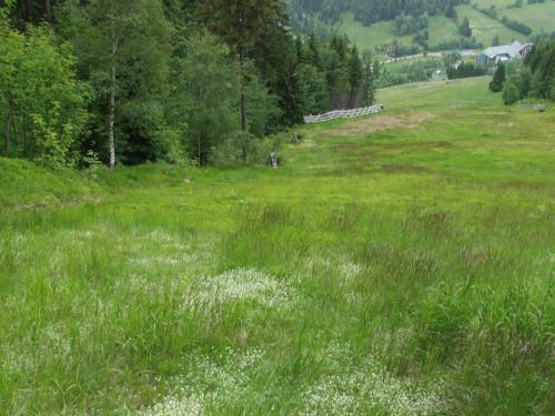 Apartamento Appartement Harrachov
