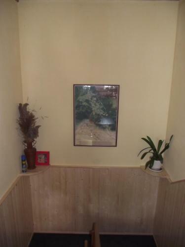 Hostal Pension U Krtka