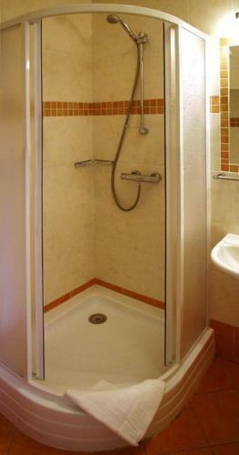 Hotel Sedy Vlk
