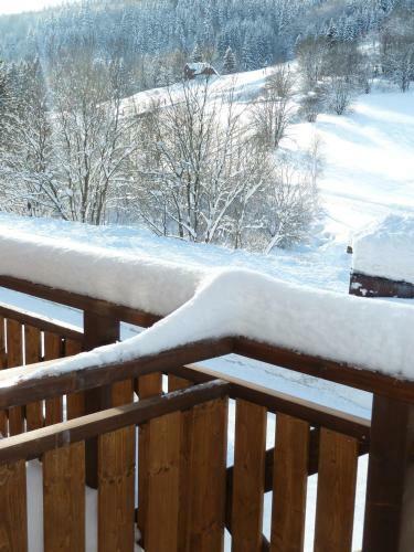 Hostal Pension Hollmann