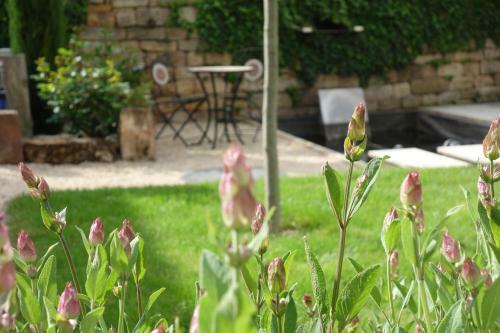 Bed & Breakfast Casa Palatina