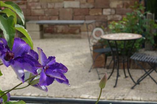 Bed & Breakfast Casa Palatina
