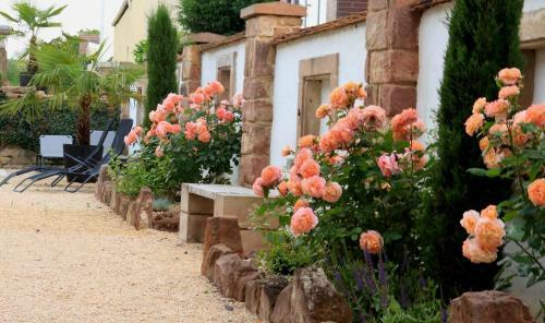 Bed & Breakfast Casa Palatina