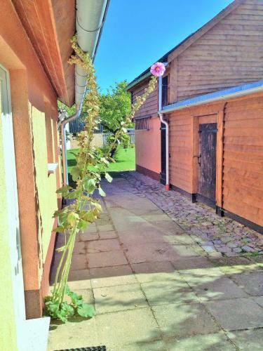 Apartamento Ferienhaus Moewe