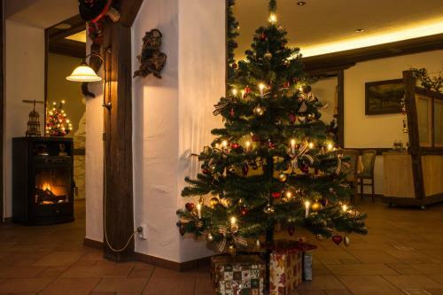 Hotel Berglandst�bel