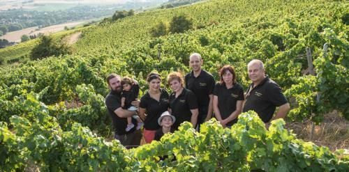 Hotel Weinschl��chen Im Weingut Roos