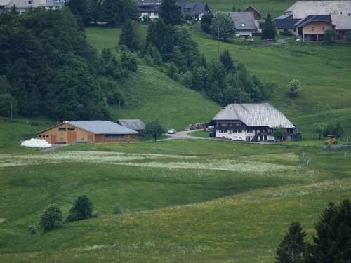 Apartamento B�rschtehanse-hof