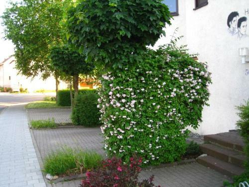 Apartamento Ferienwohnung Brigitta