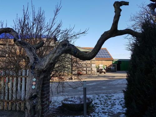 Agroturismo Der Nagelhof Ferienwohnungen _ Obs