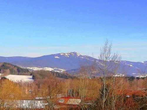 Apartamento Ferienappartements Grolik