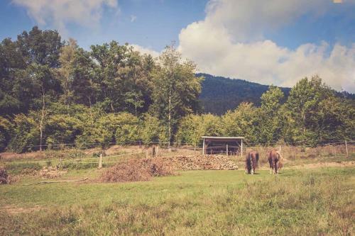 Agroturismo Wirtshof M�hlbauer