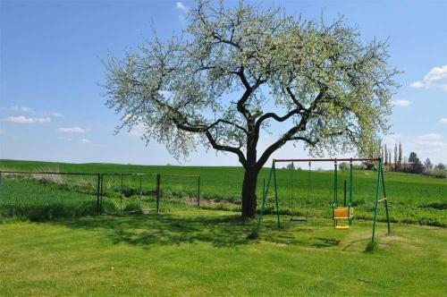 Ferienhaeuser Auf Dem Land Hoffeld