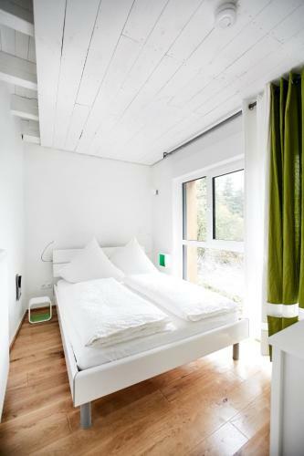 Basalt-loft