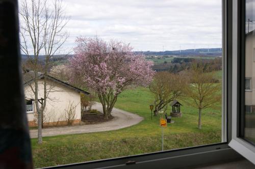 Hostal Gasthaus Schmitt
