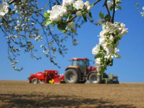 Agroturismo Gschwandnerhof