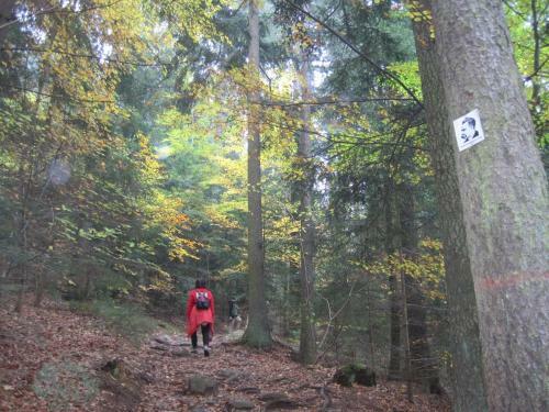 Agroturismo Gschwandnerhof