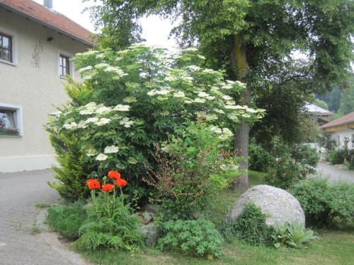 Agroturismo Gschwandnerhof