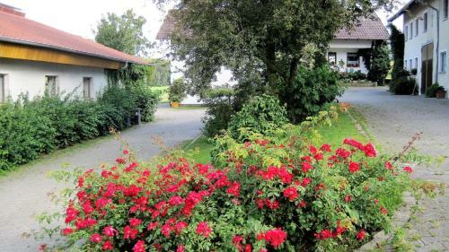 Agroturismo Gschwandnerhof