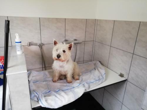 Apartamento Ferienwohnung Marie