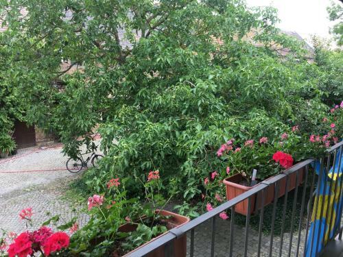 Bed & Breakfast Landhotel L�tzen
