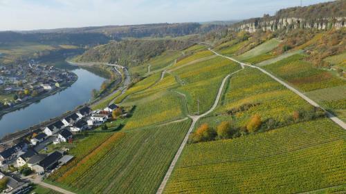 Posada Weingut Und G�stehaus Apel