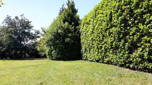 Apartamento Fehnhaus Janke