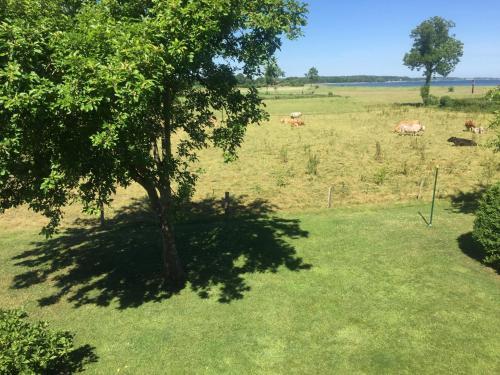 Bed & Breakfast Mein-ostseepl�tzchen