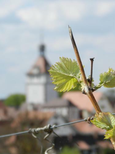 Posada G�stehaus Am Westtor