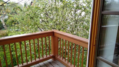 Gasthaus - Hotel Alt F�rst�tt