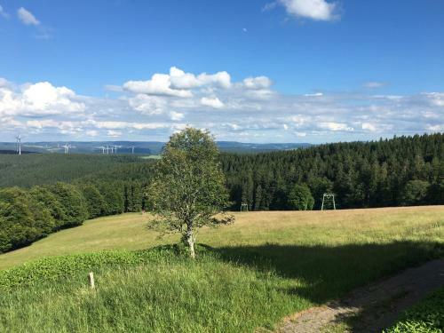Hotel Berggasthaus Kandelhof