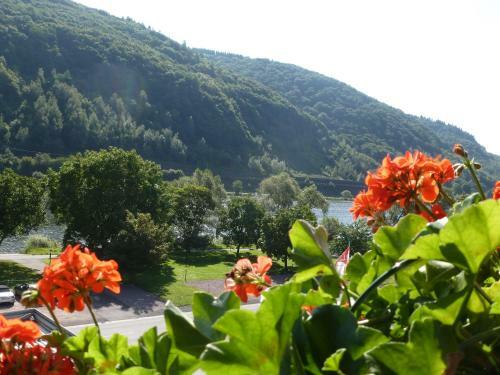Apartamento Ferienwohnungen Scheid Volker