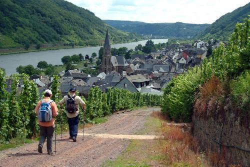 Apartamento Ferienwohnungen Scheid Volker