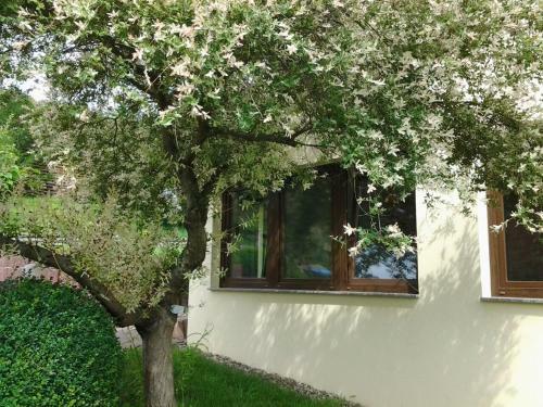 Ferienhaus Waldblick