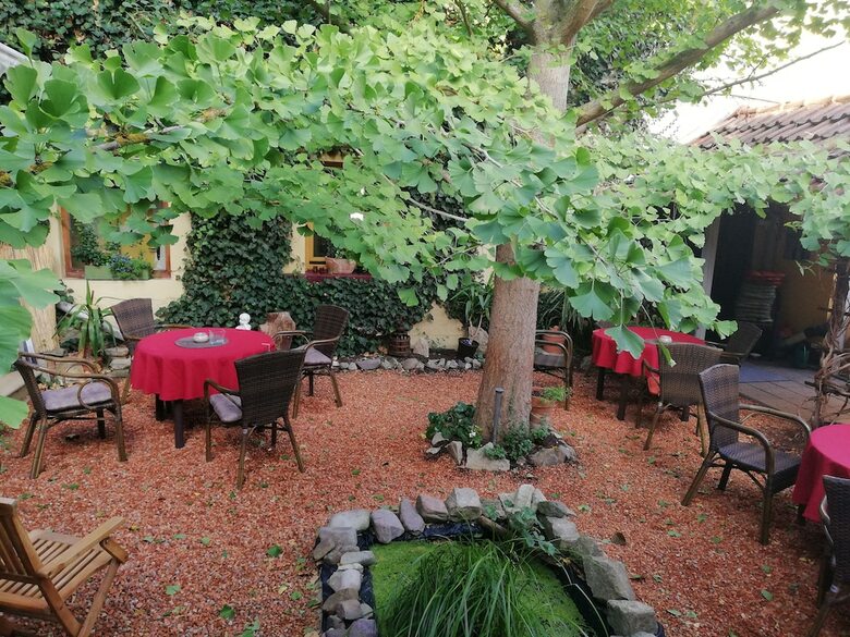 Hotel Zum Ginkgobaum