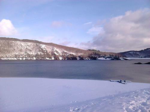Apartamento Seeblick Ferienwohnung Am Rursee - Nationalpark Eifel