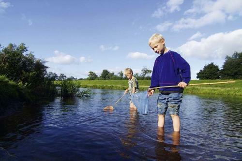 Apartment Spies