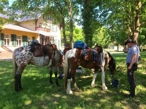 Klosterhotel Marienflie�