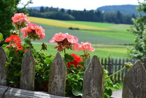 Agroturismo Ferienhof Obertennersreuth